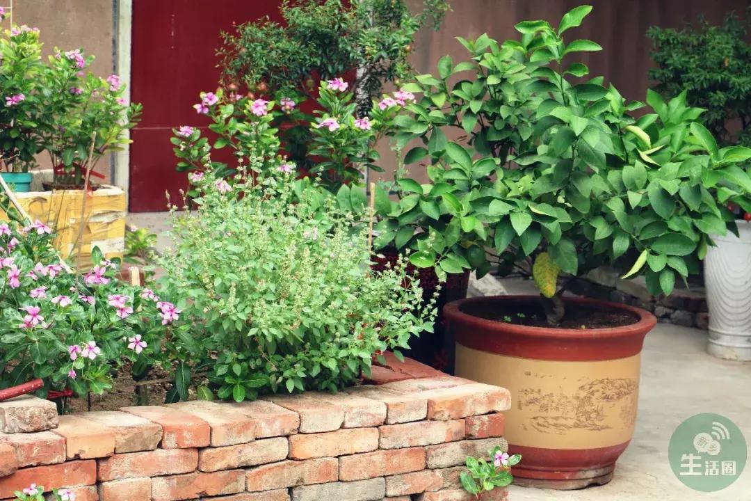 十中老胡同老照片,新乡市十中老胡同