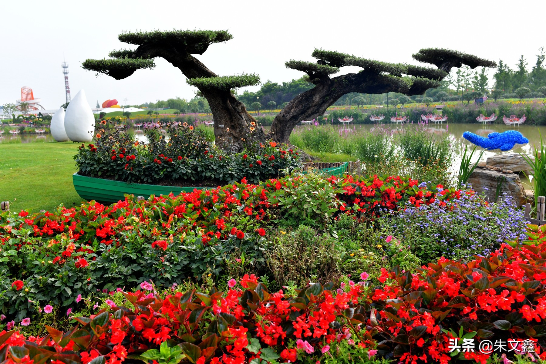 江苏大丰荷兰花海门票多少钱一张,大丰盐城荷兰花海