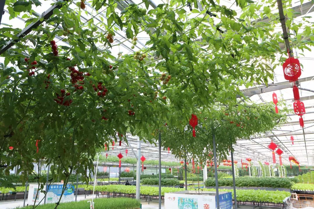 长春农博会游玩攻略,过年看农博会