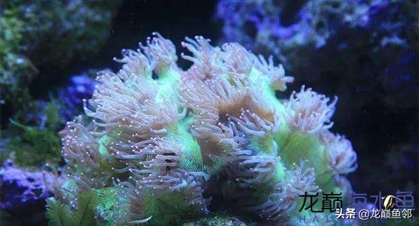 说出来都是泪！只有新下海的人才能体会这种痛，简直是全军覆灭