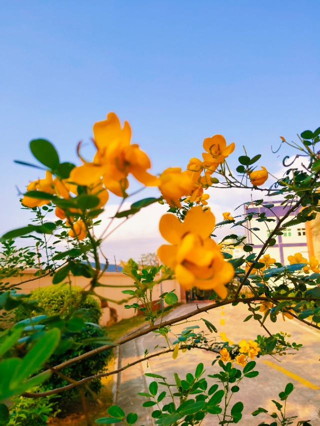 古镇居乐,古城宜居