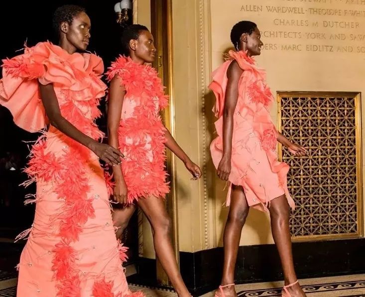 时尚圈今年的流行色,今年时尚趋势流行色