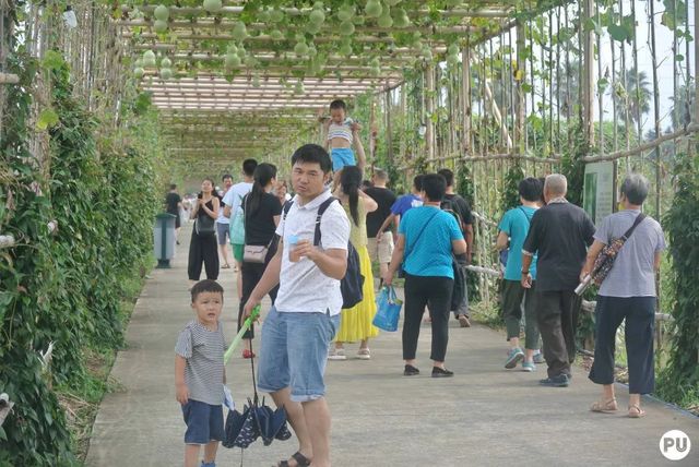 广州古村一日游最佳路线,广州好玩又省钱的6大绝美古村