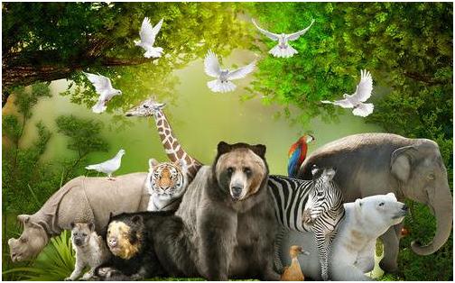 恐龙有多少年的文化历史,有关恐龙的知识和恐龙演化的过程