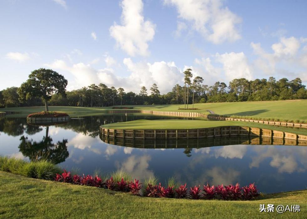 美国圆石滩高尔夫球场,美国高尔夫球场数量