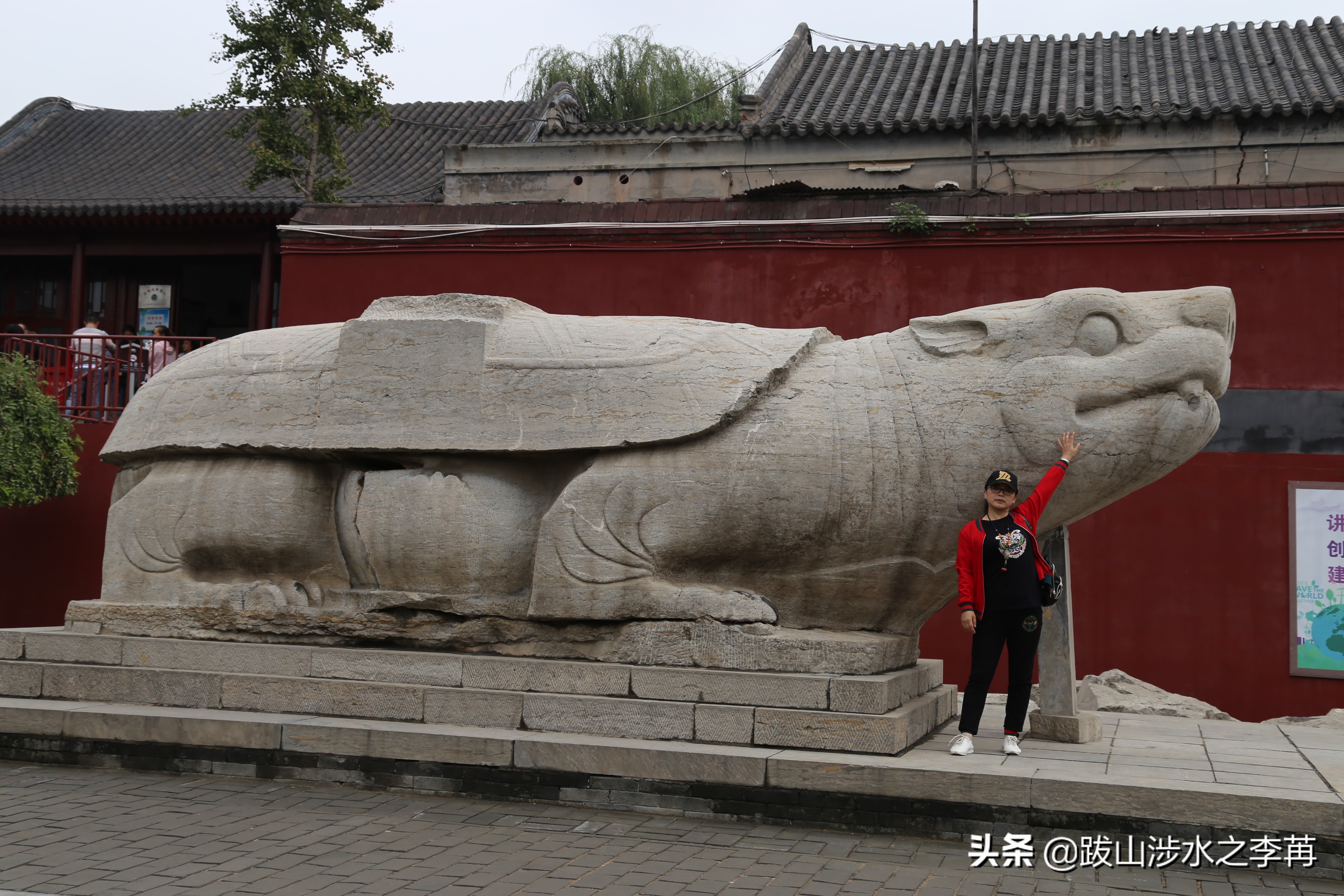 正定开元寺赑屃碑,开元寺赑屃出土视频