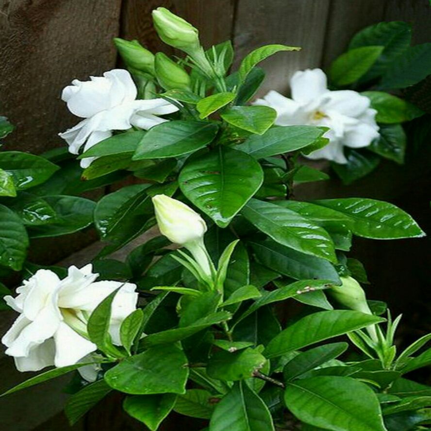 武汉恒发科技有限公司怎么样,武汉恒发科技有限公司简介