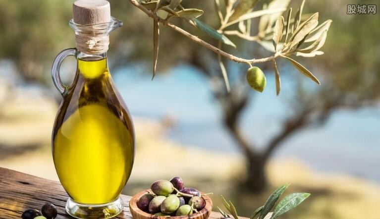 橄榄油和山茶油二者作为油中极品,分别有什么特点?