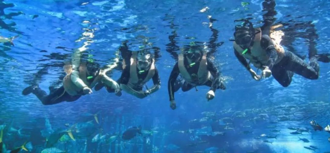 十个小时玩转迪拜,玩转迪拜与阿布扎比