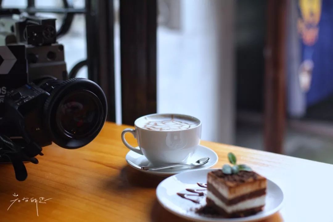 三月赏花一日游上海景点,本月上海赏花一日游最佳去处