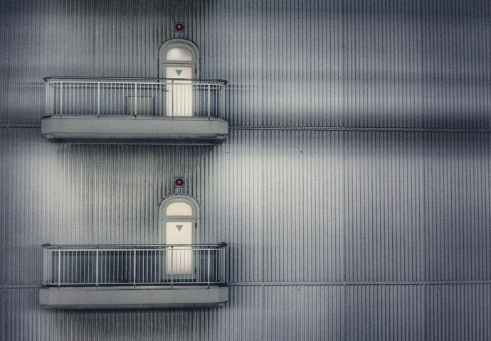 黄欣伟：女人、孩子和狗