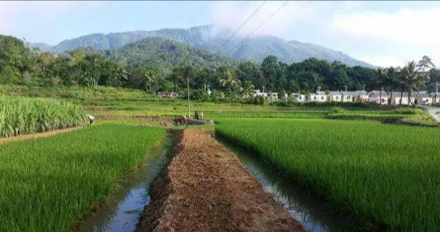 鳝鱼泥鳅养殖前景,泥鳅养殖成本与利润多少钱一亩