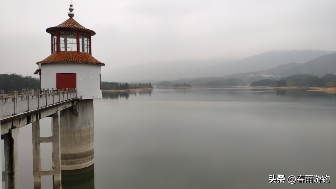 钓鱼水库窝料怎么选择,野钓窝料的打法