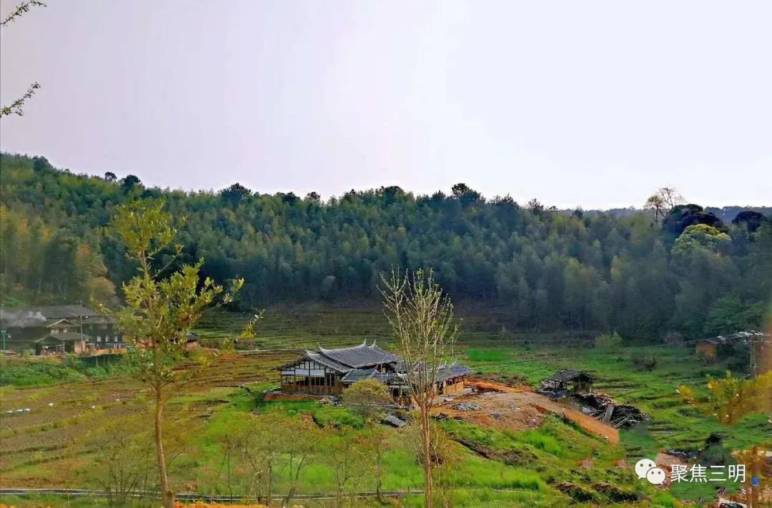 中国绿都最氧的三明将乐,中国绿都最氧三明康养之旅