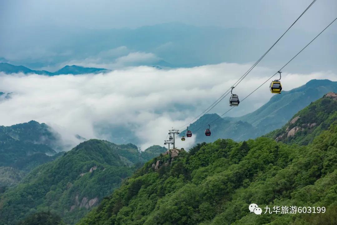 在赞美九华的人里，他们有些不一样