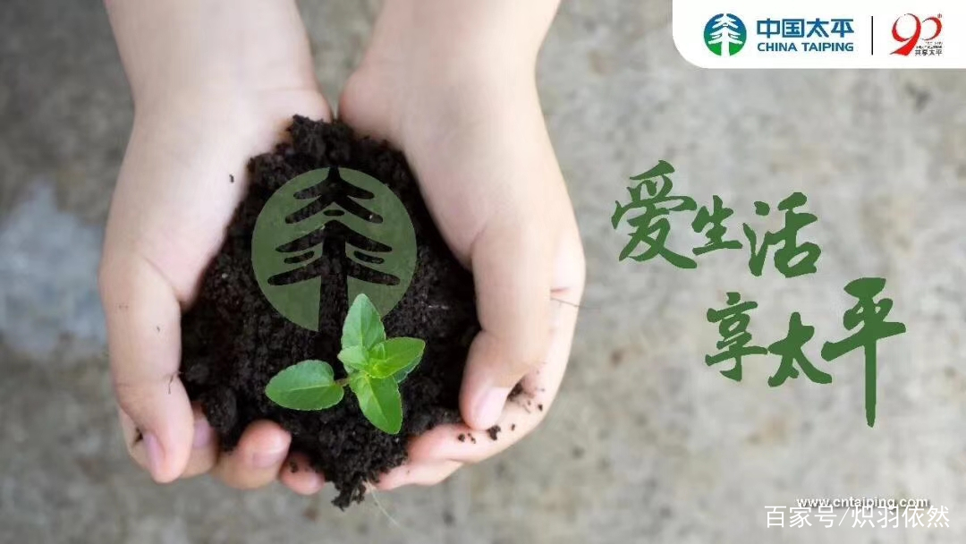 购买汽车保险的最佳方案,购买保险最佳日期