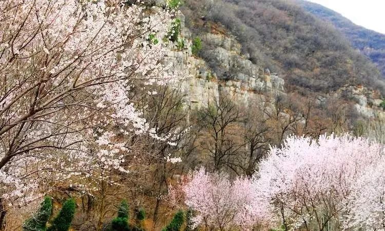 晋城司徒小镇异域风情,晋城皇城相府和司徒小镇