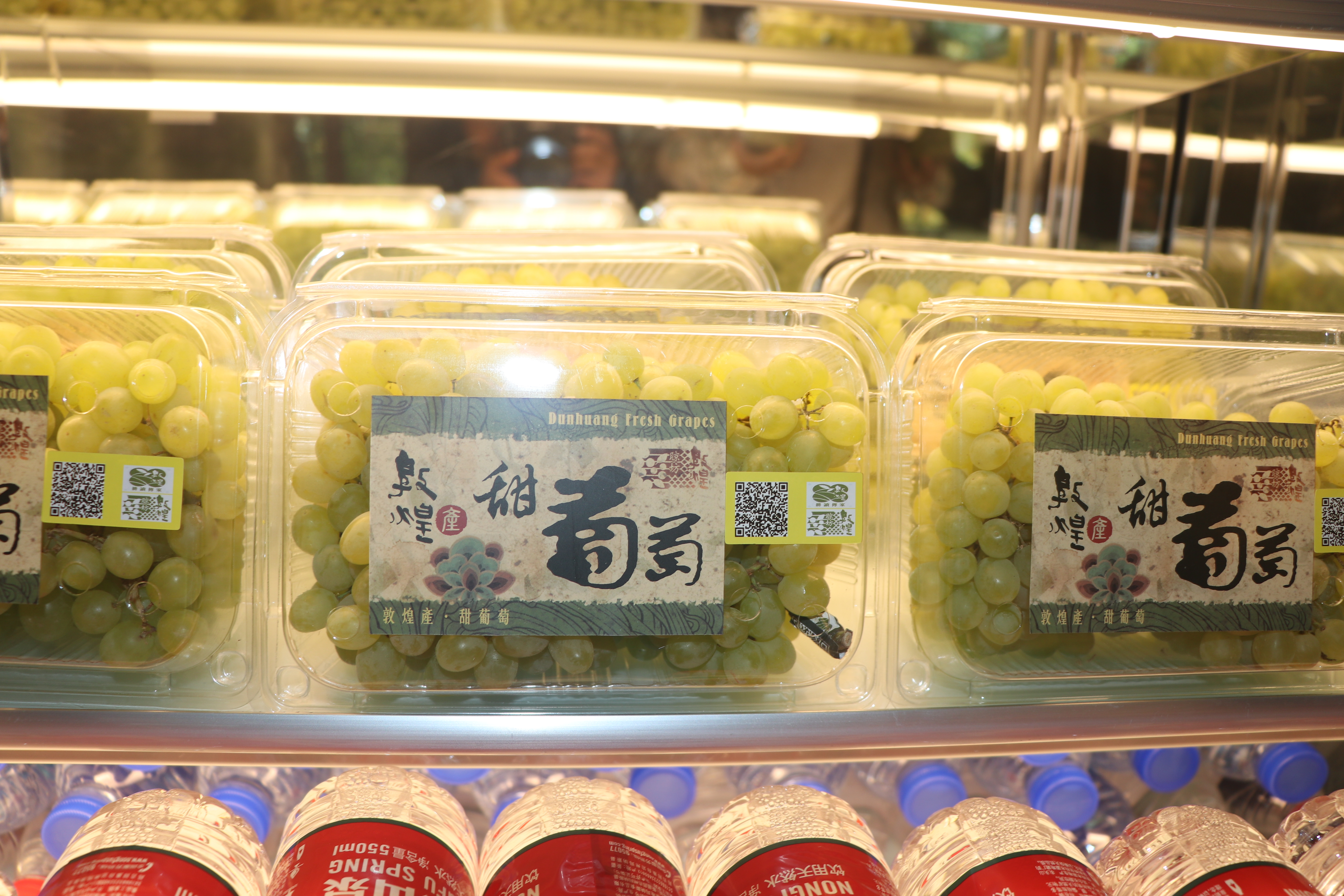 敦煌旅行攻略,敦煌莫高窟之行