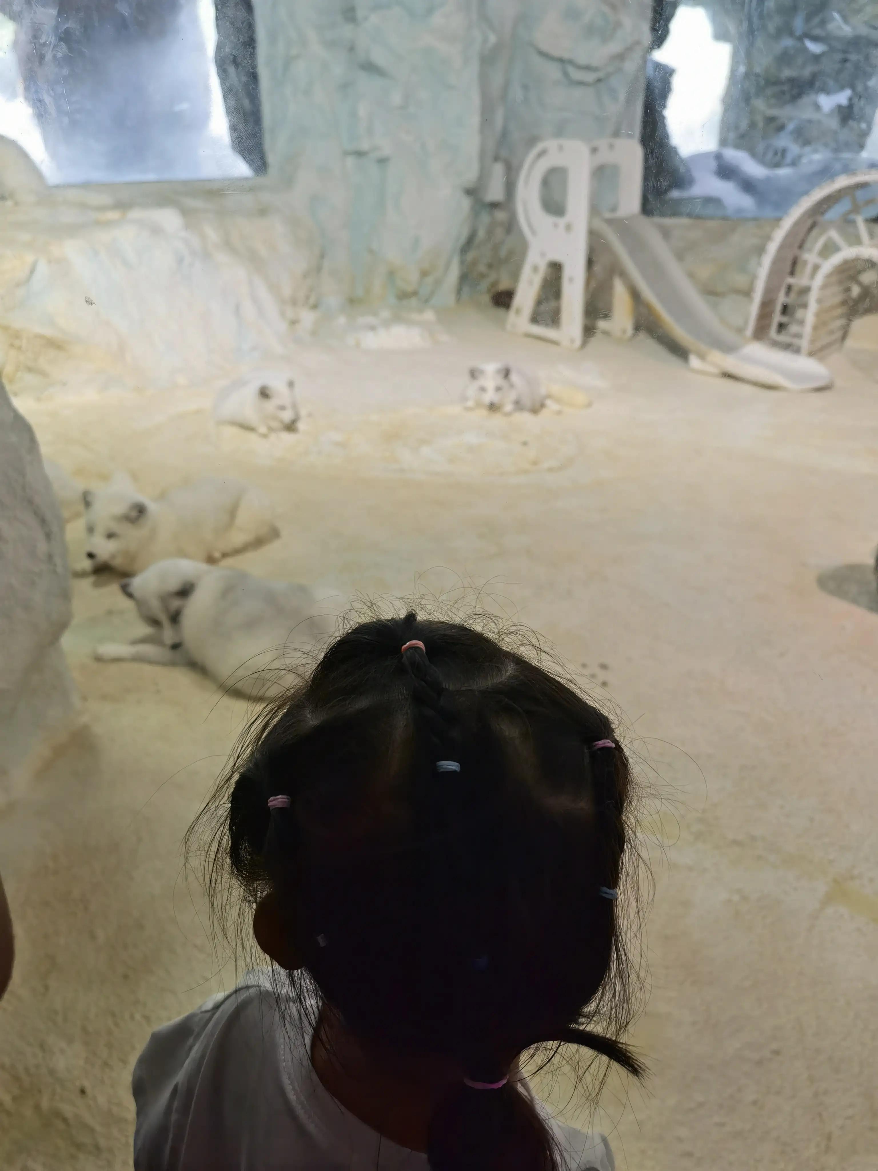 珠海长隆海洋王国之旅,长隆海洋王国游玩攻略