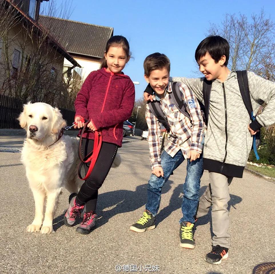 德国孩子幼儿园,德国幼儿园混龄教育优缺点