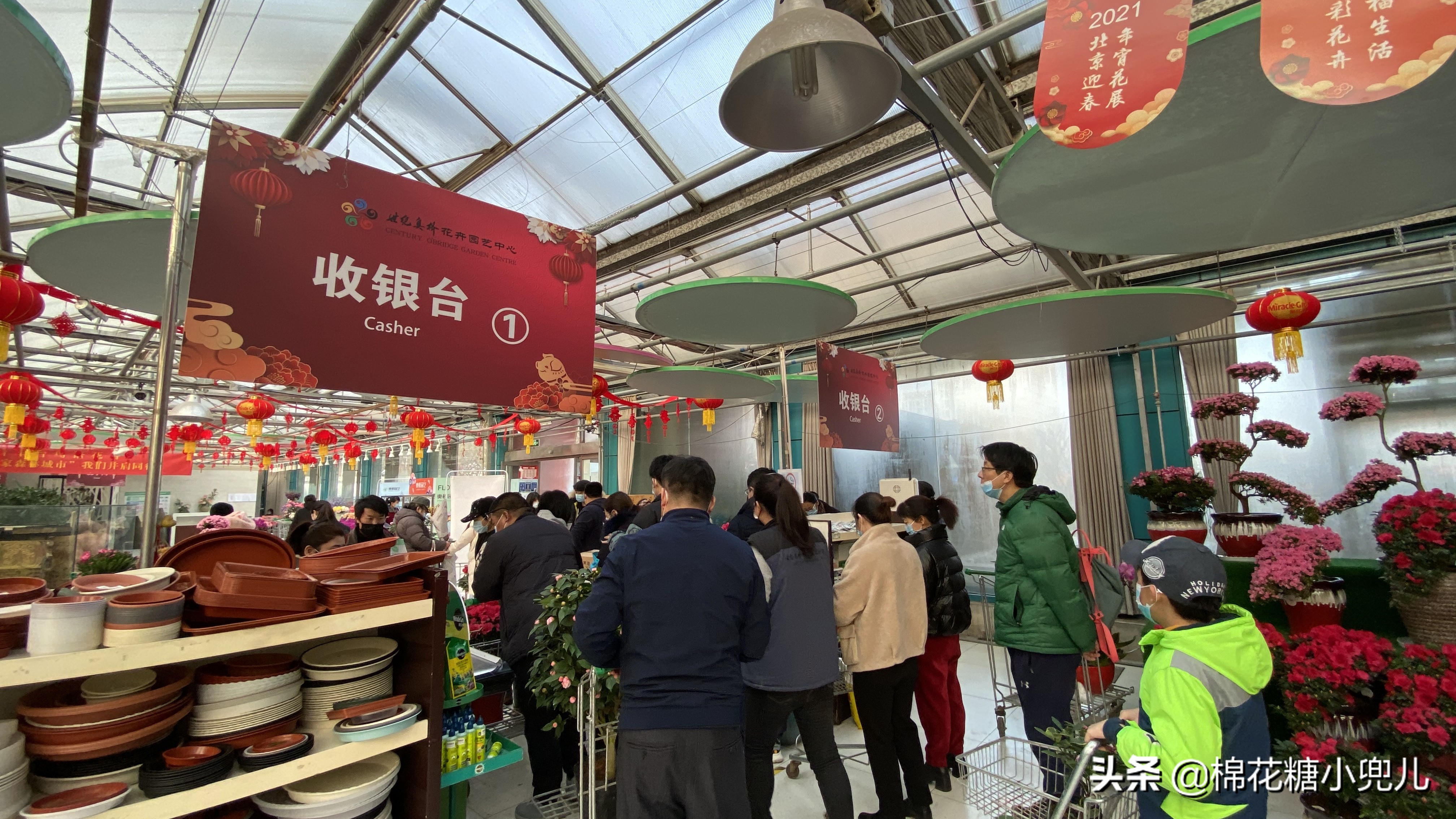 北京南四环花卉绿植批发市场,北京开一家鲜花店