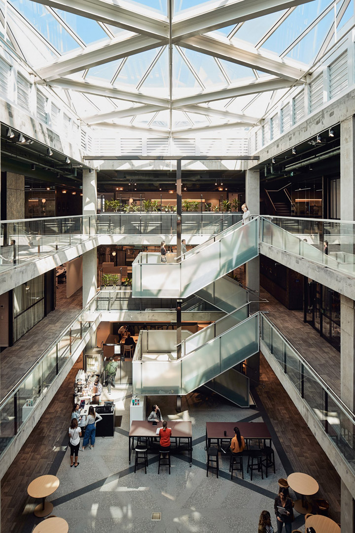 davidjones婢虫床瀹樼綉,婢虫床davidjones