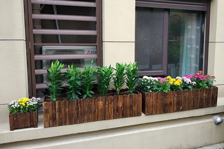 造园记养花人的必经之路,养花的院子怎么建造