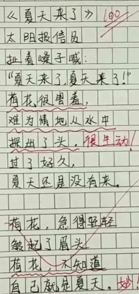 王林平随笔《读小学生作文有感》