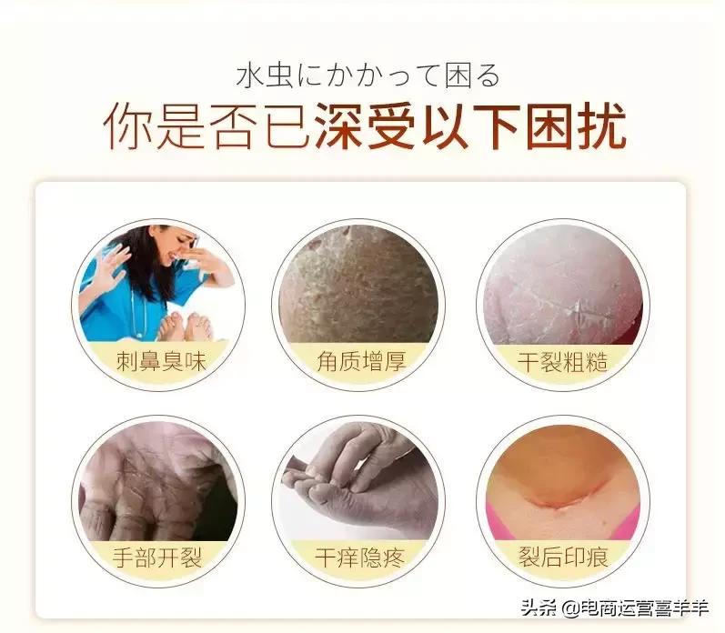 小奶狗6个月成长记录,86年小奶狗