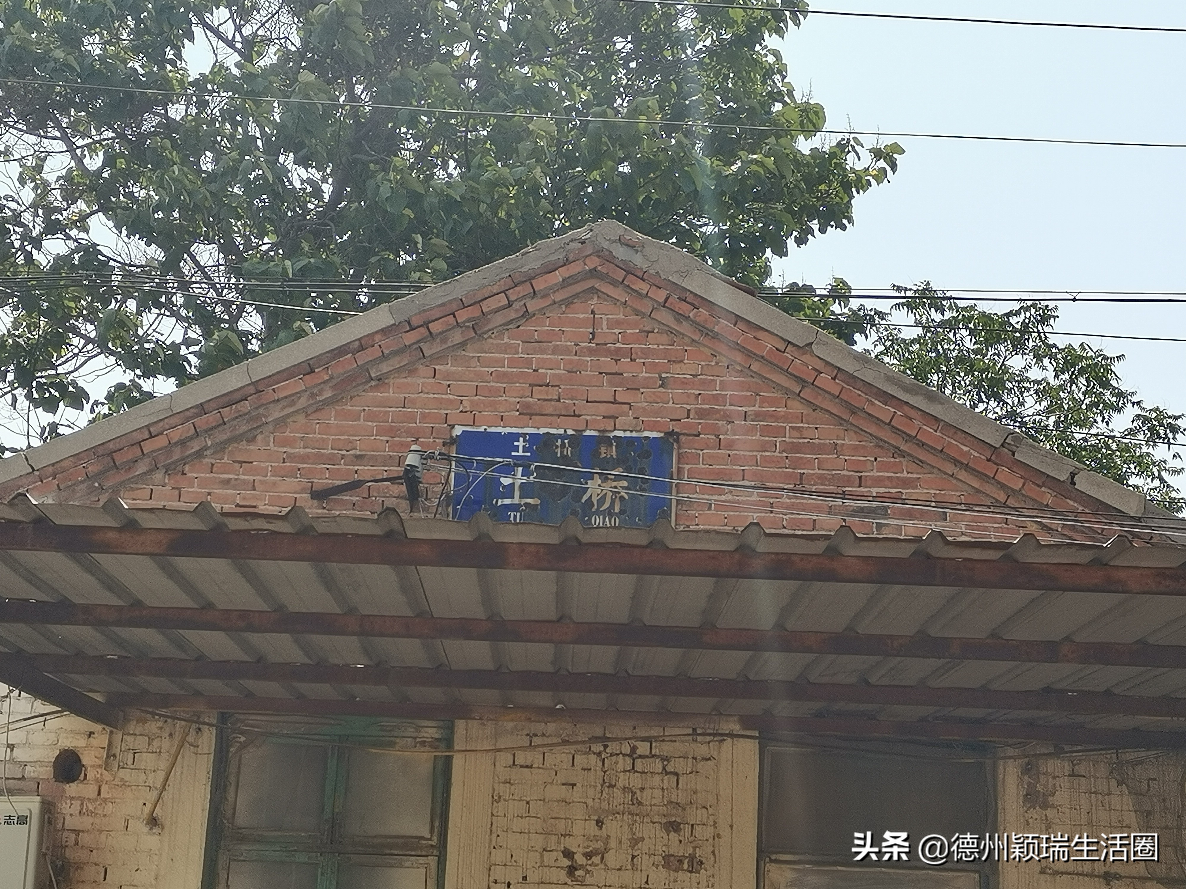 陵城土工布和地毯,陵城土地拍卖