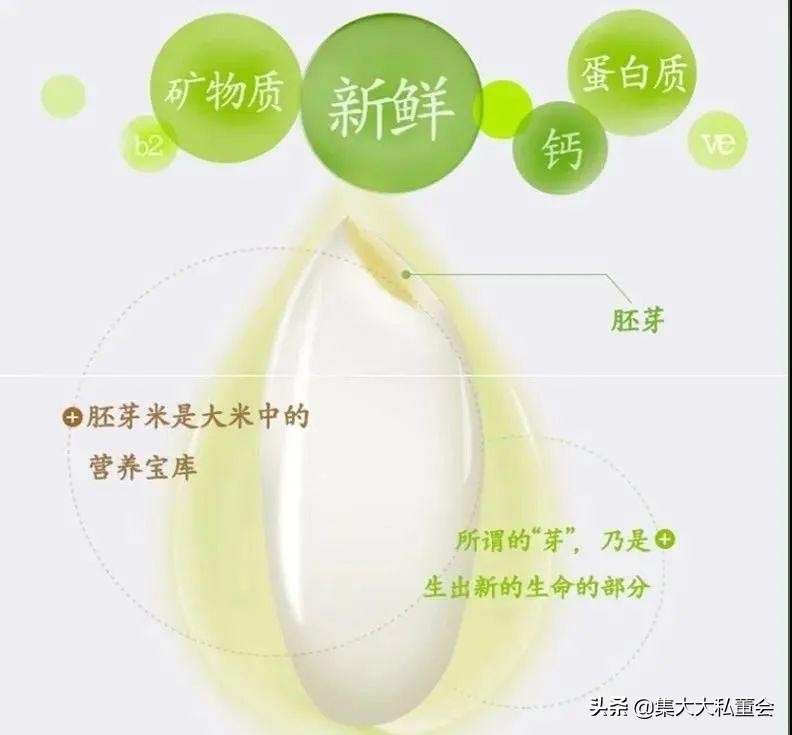 天天新米用心做好每一粒米，让每一粒米都更营养、更健康