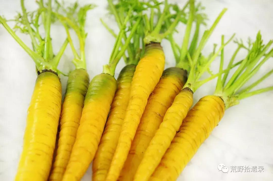 你知道胡萝卜是怎么来的吗,胡萝卜的演化史