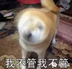 想开店卖产品是做代理还是经销商,做代理和经销商哪个好