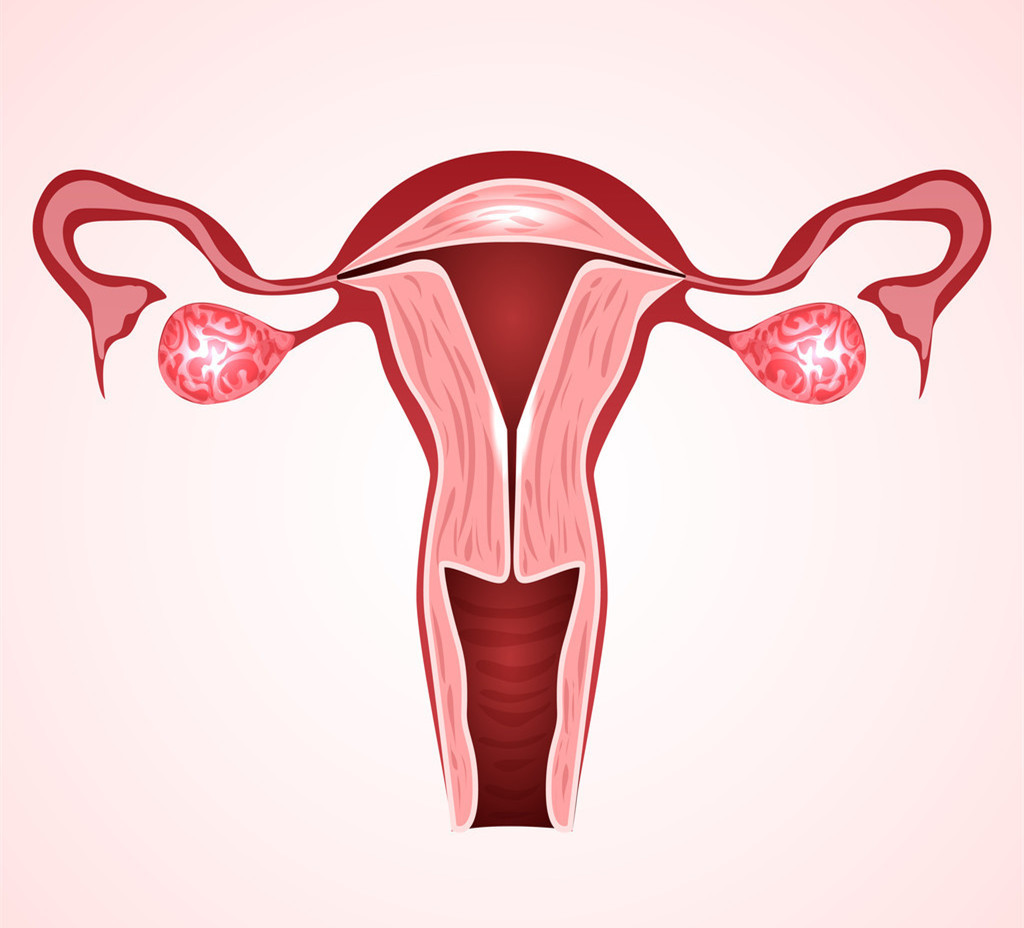 当生殖系统机制偶尔失灵，将是灾难性的急症