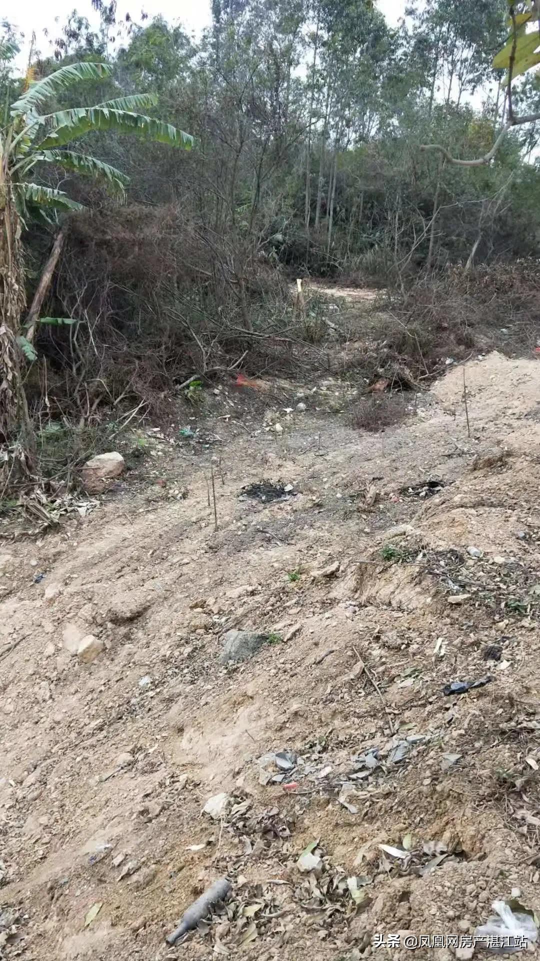 廉江市实验学校竞拍土地,廉江实验学校总投资