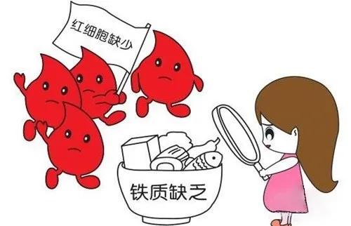 普通贫血和缺铁性贫血如何补血,缺铁性贫血与慢性贫血的鉴别方法