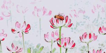 发际线秃了可以植发吗,发际线后移植发一般多少钱