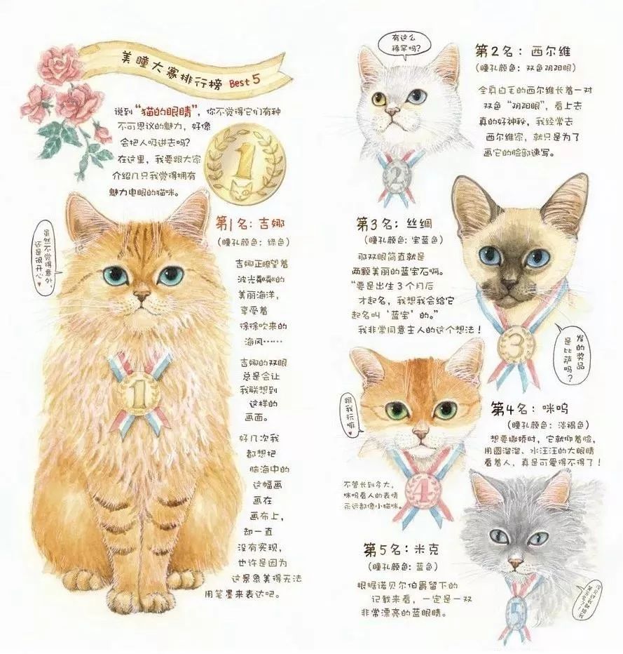 0-3岁猫咪可爱绘本,诚实的猫咪3-6岁儿童经典绘本