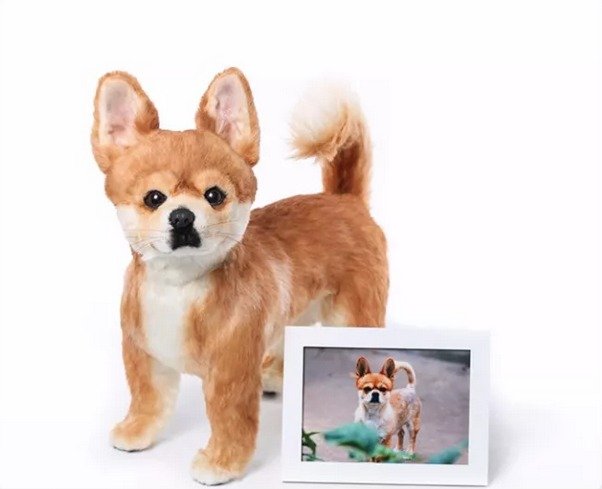 发财金点子项目,发财宠物用品