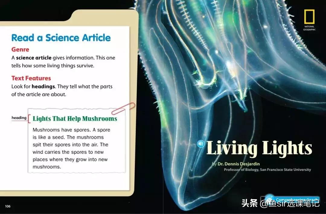 学而思和vipkid线上外教哪个好,学而思七大能力免费课程