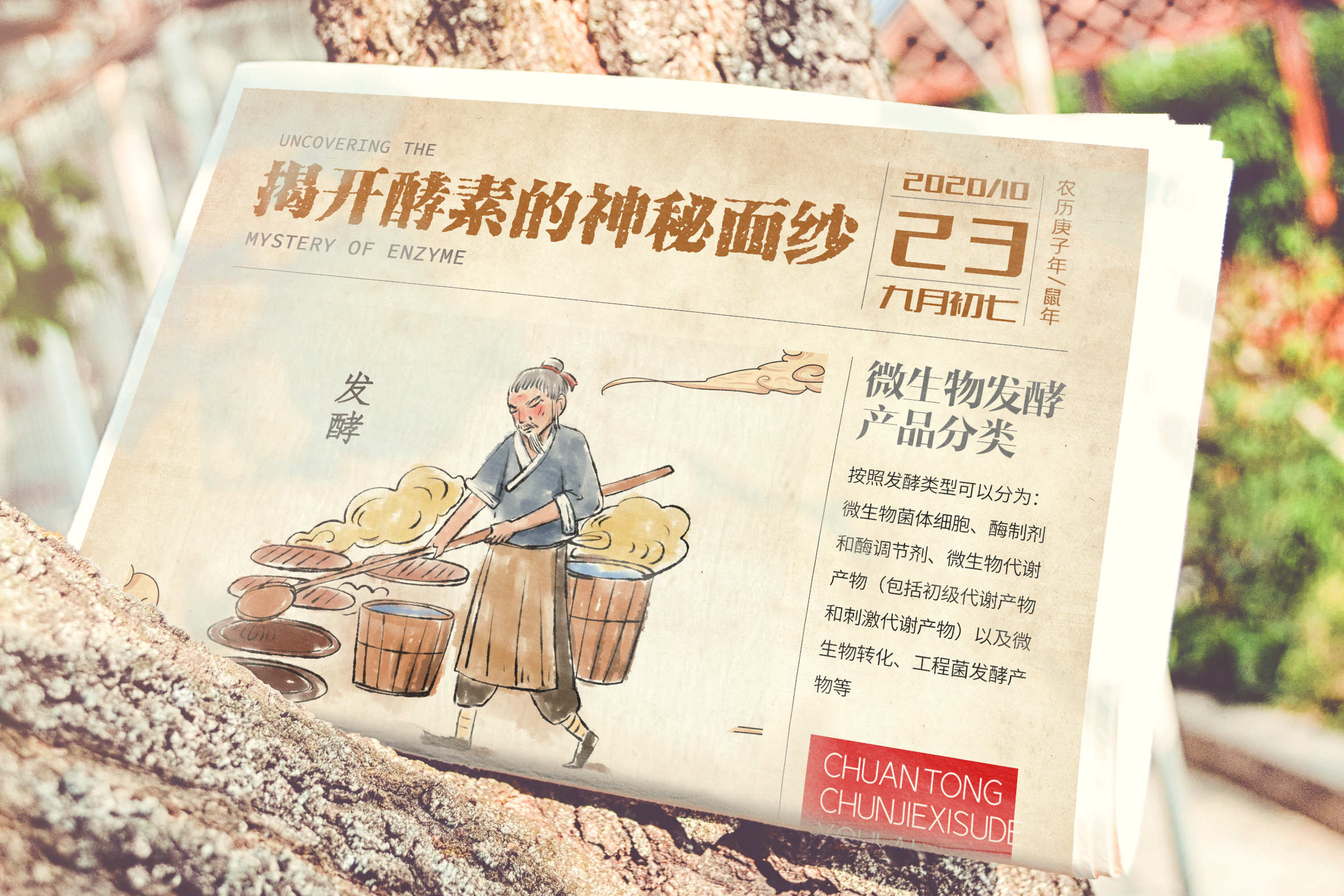 酵素揭秘,酵素的真相视频