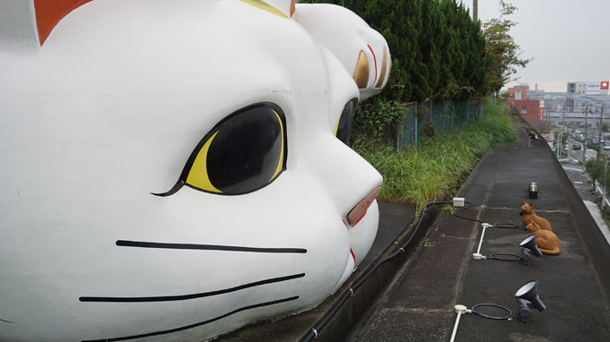 6天日本之旅，带你玩转名古屋之（一）