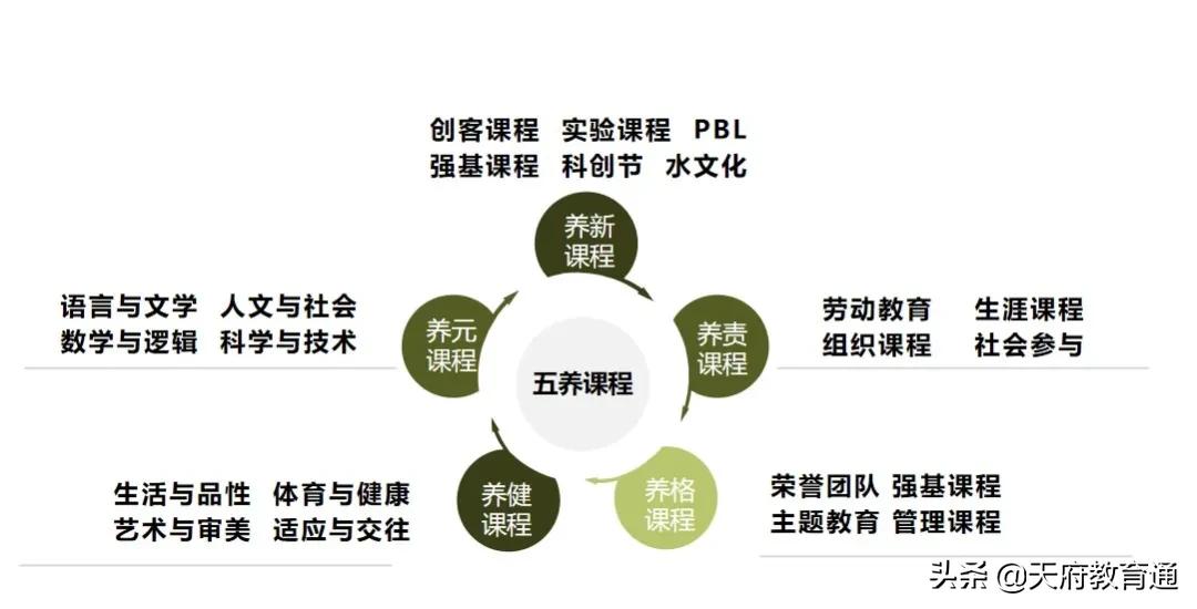 天府新区教育发展,天府新区天府学校