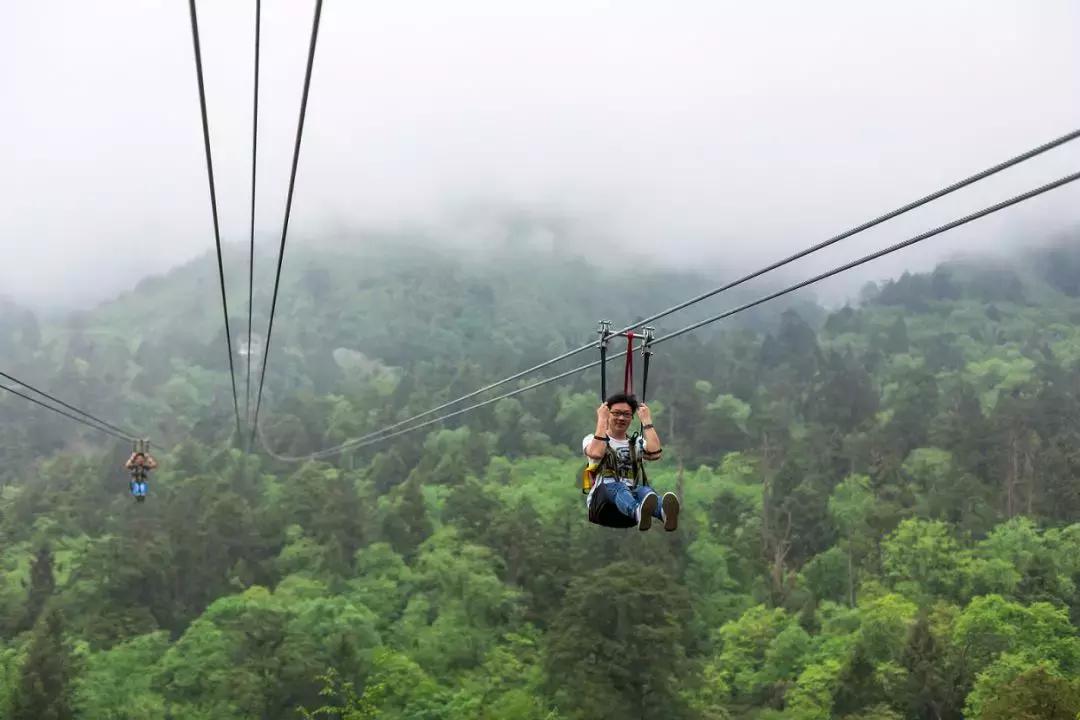 成都自驾百里杜鹃旅游攻略,万亩杜鹃花在青山幽谷