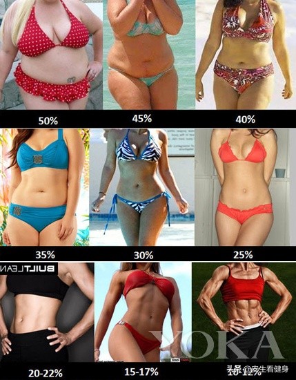 3种测量身体脂肪含量的方法,体脂测量标准对照表