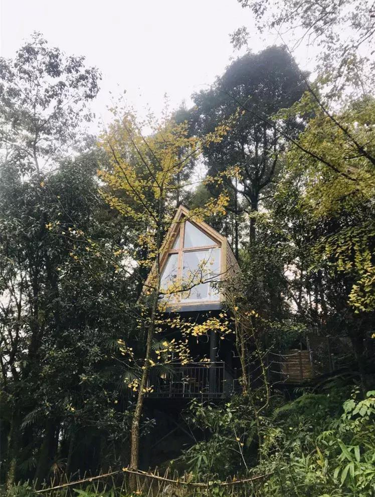 成都值得打卡的民宿便宜,成都最值得住的网红打卡地