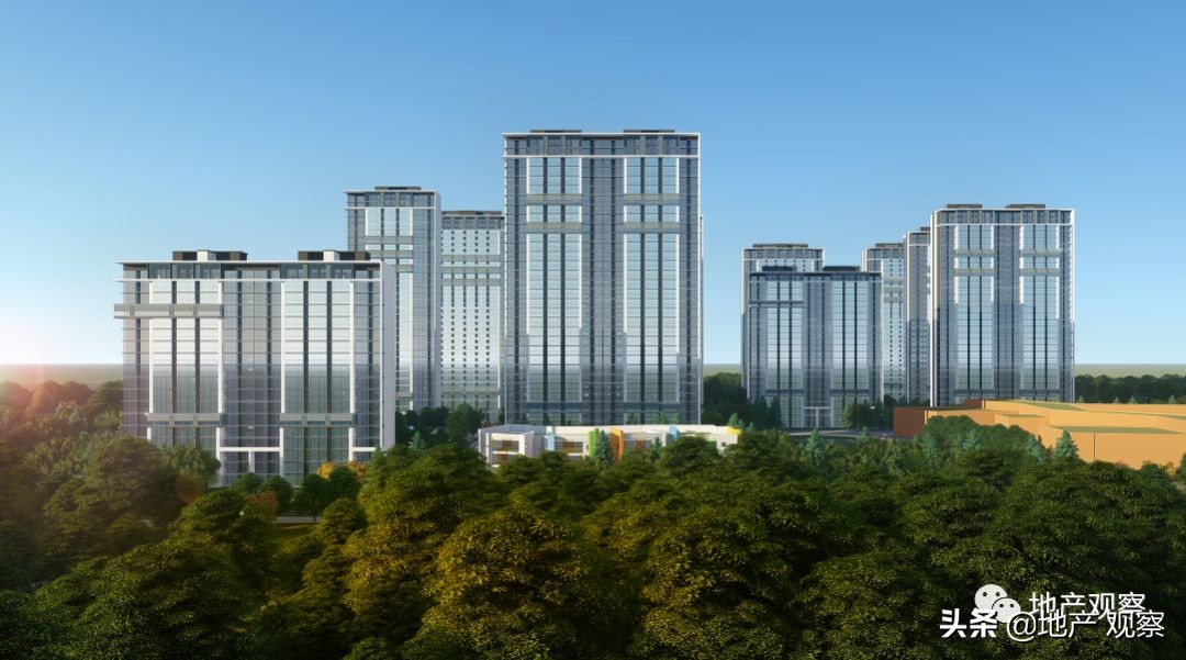 这个应该全国推广的品质项目