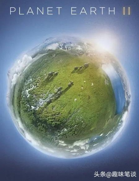 10部适合孩子看的高分自然纪录片,高分自然纪录片推荐9分以上