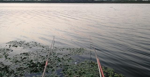 野钓大鱼的5个“专属”技巧,专钓大鱼的方法和技巧