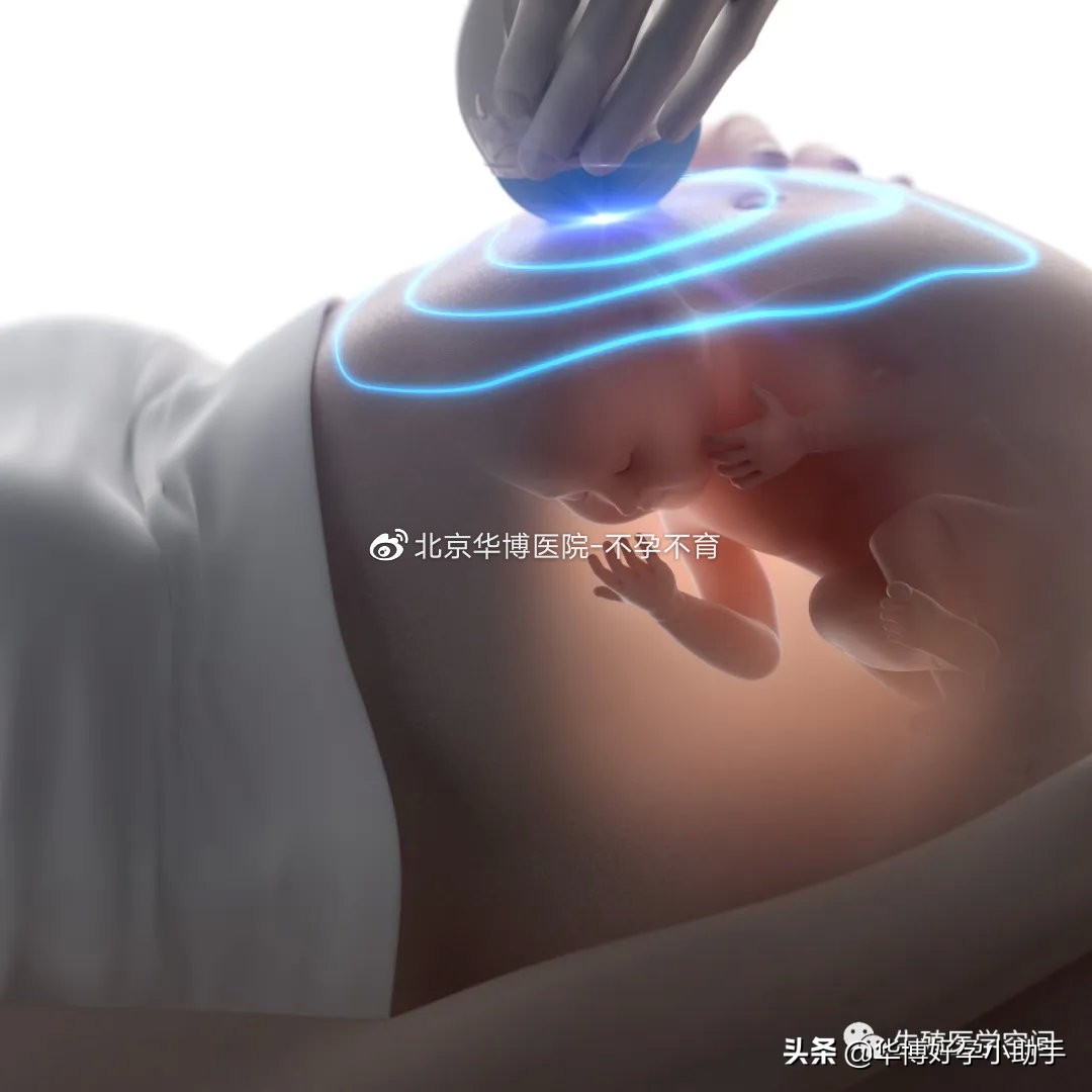 腹部b超检查前的准备及注意事项,孕期检查b超注意什么